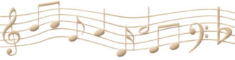 ZZZWSE30